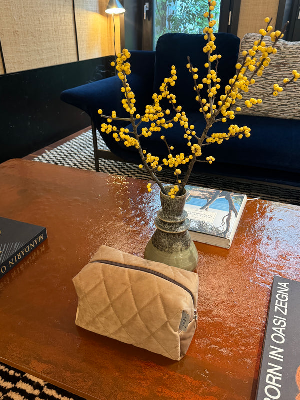 Golden velvet vanity bag