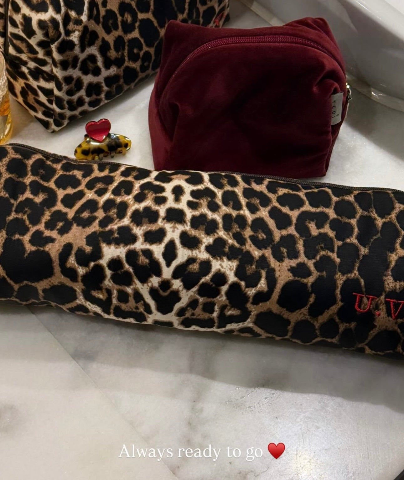 Leopard futrola Dyson Airstrait