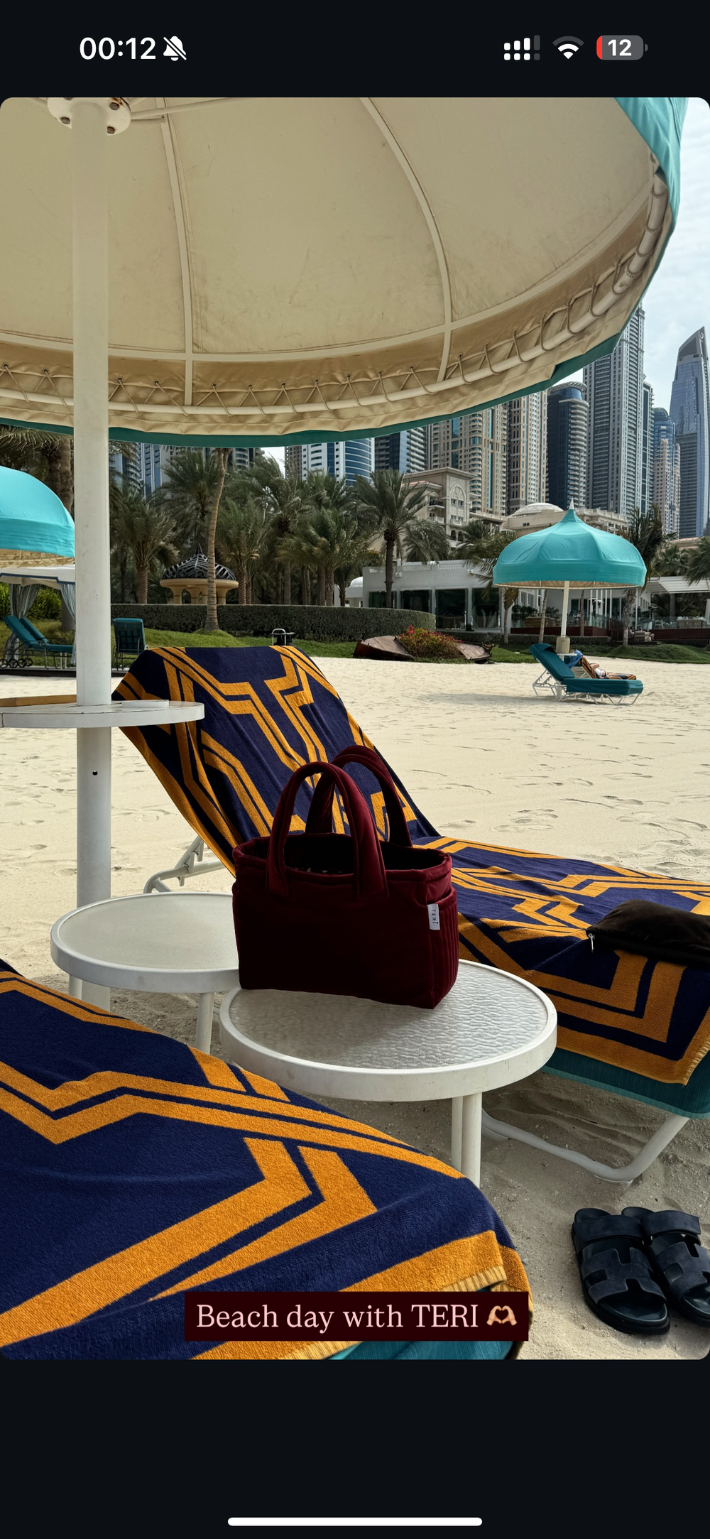 Burgundy velvet mini bag