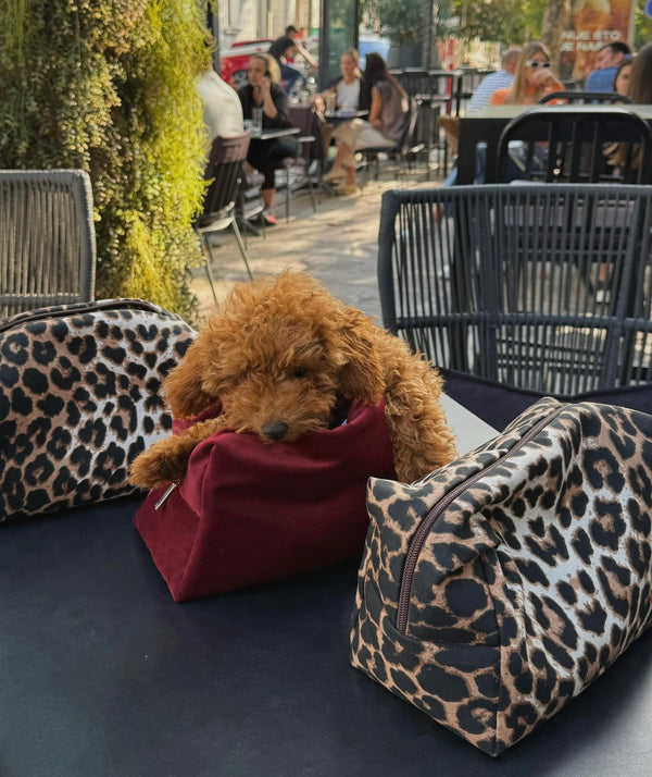 Burgundy velvet vanity bag