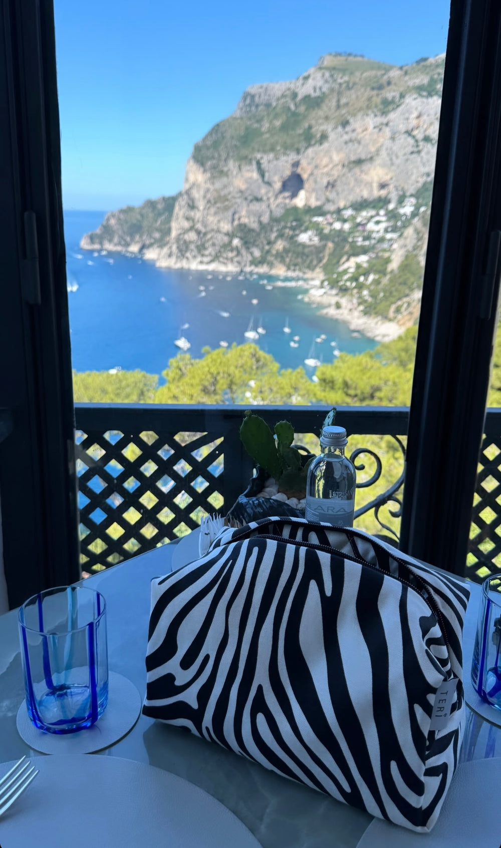 Zebra vanity bag
