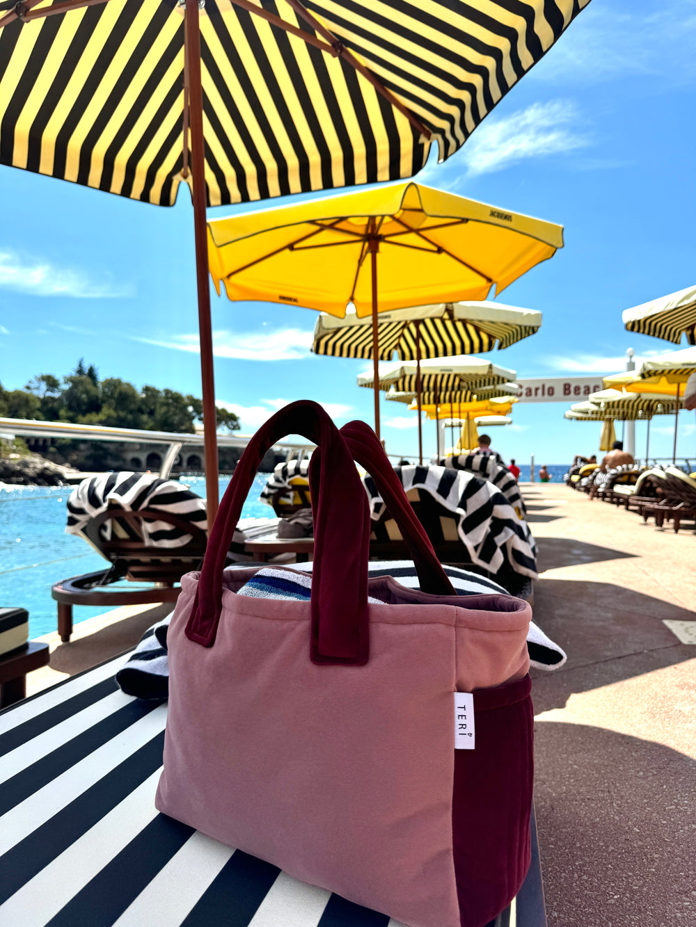 Soft pink/burgundy velvet mini bag