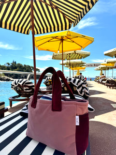 Soft pink/burgundy velvet mini bag