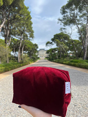 Burgundy velvet vanity bag